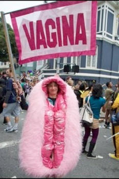 A photo from the Code Pink webside of a lady dressed up in a furry vagina costume holding a banner that says vagina in pink. She is down in Florida at the RNC