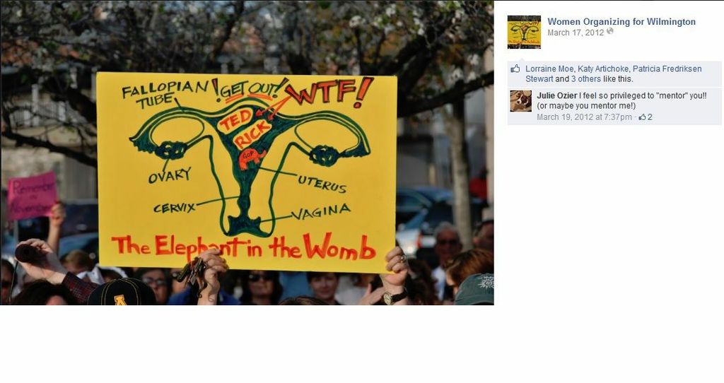 A photo from Women Organizing For Wilmington that has a picture of a womens anatomy with these names listed inside the uterus: Ted, Rick, GOP, WTF! Get Out! and below all this is the phrase The Elephant in the Womb