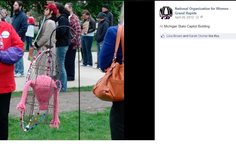 NOW of Grand Rapids posted a picture of an abortion rally at the Michigan State Capital building and the photo is of a knitted uterus that is hanging in a bird cage