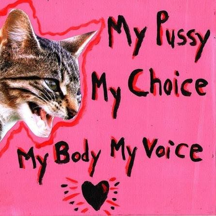 Pro-choice sign with an angry cat that reads, "My pussy, my choice, my body, my voice."