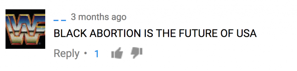 YouTube comment which says, "Black abortion is the future of USA"